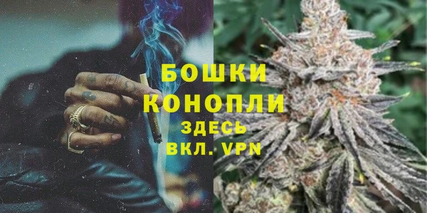 МДПВ Лиски
