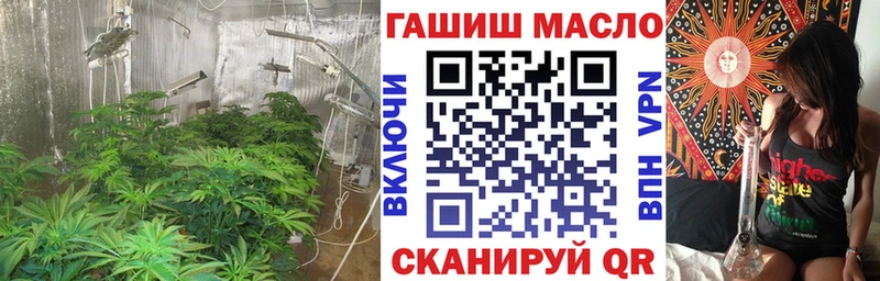 Дистиллят ТГК жижа  ссылка на мегу онион  Энем 